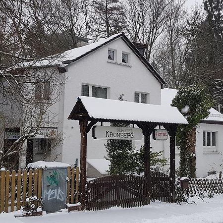 Hotel Kronberg Kronberg im Taunus Ngoại thất bức ảnh